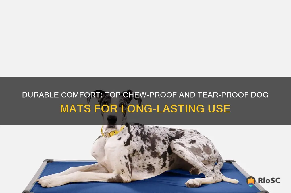 best chew proof and tear proof dog mat