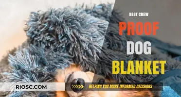 Durable Comfort: Top Chew-Proof Dog Blankets to Protect Your Furniture and Pamper Your Pup
