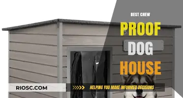 Durable and Safe: The Ultimate Guide to the Best Chew-Proof Dog Houses