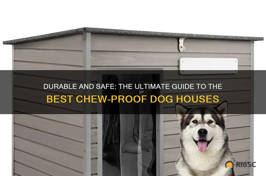 best chew proof dog house