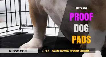 Durable and Reliable: The Ultimate Guide to Chew-Proof Dog Pads for Your Furry Friend