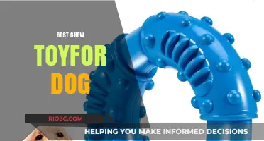 Top Chew Toys for Dogs: Durable, Safe, and Engaging Options for Every Pup
