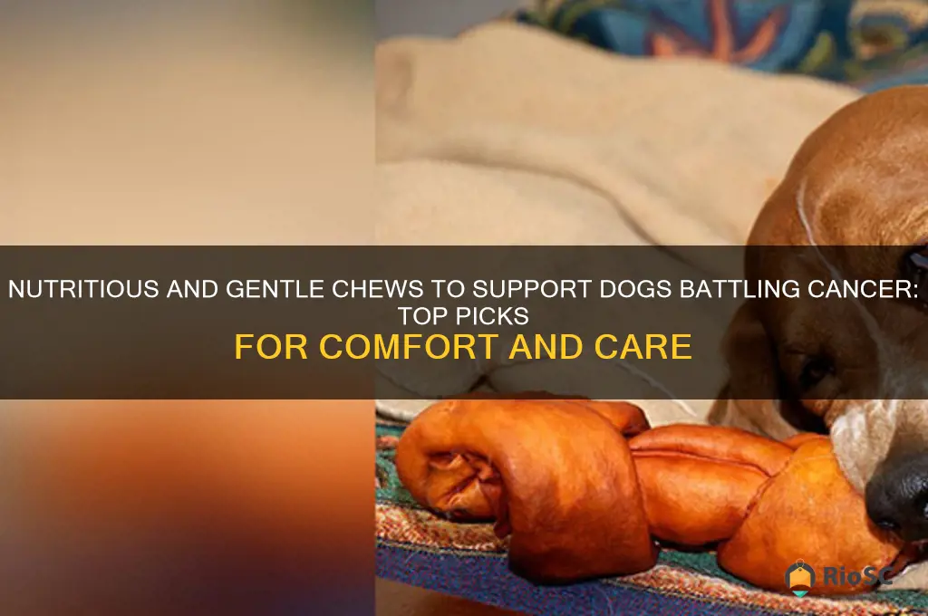 best chews for dog with cance