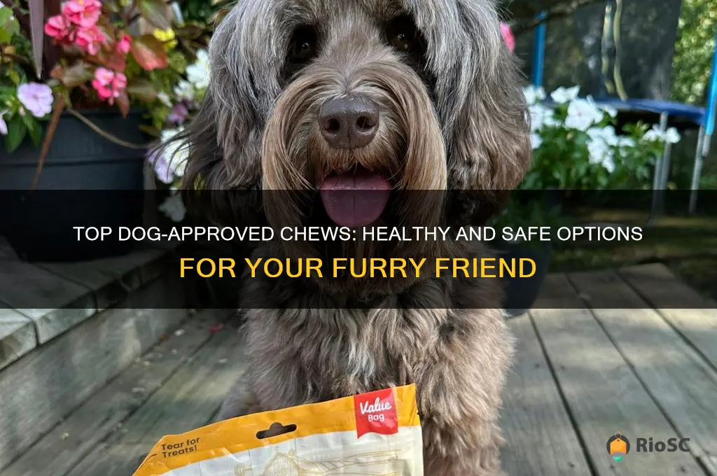 best chews for my dog