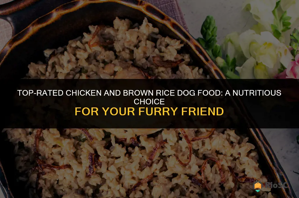 best chicken and brown rice dog food
