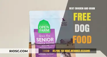 Top Picks for Your Pup: The Best Chicken and Grain-Free Dog Food Options