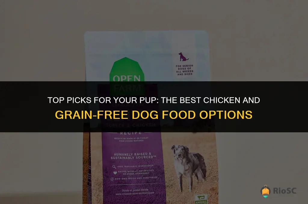 best chicken and grain free dog food