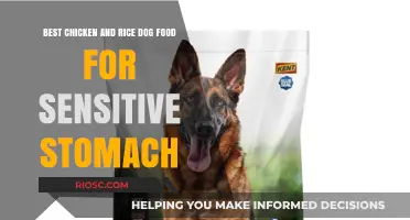 Top Picks for Chicken and Rice Dog Food: Gentle on Sensitive Stomachs