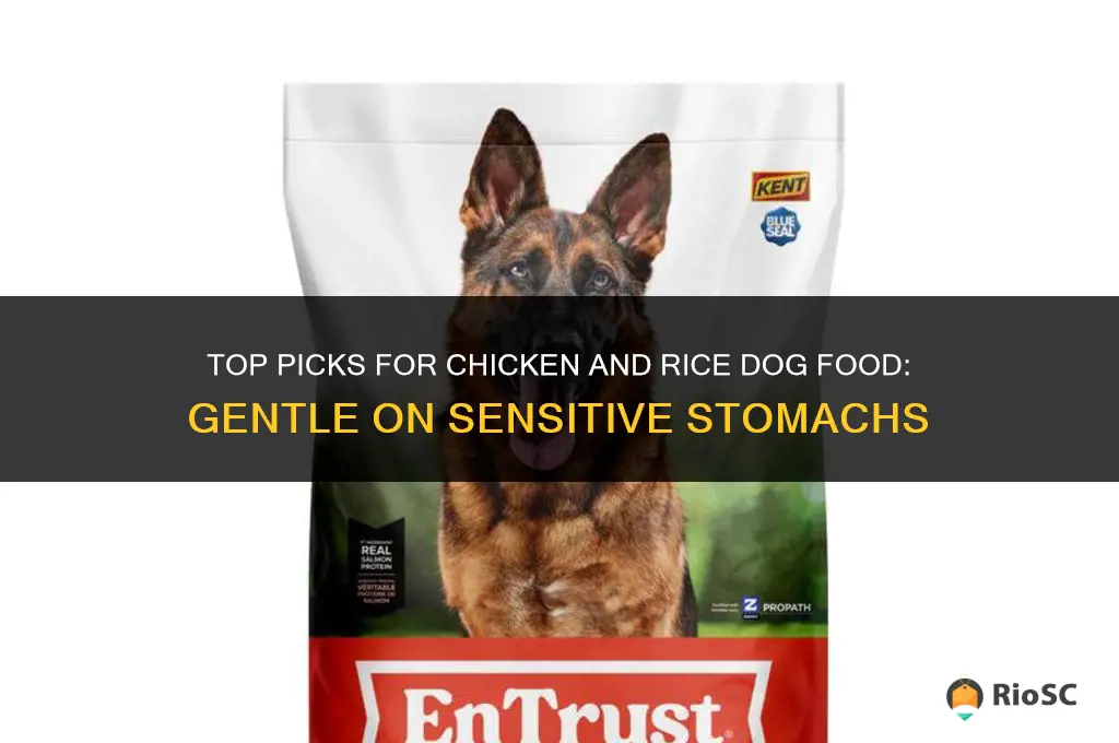 best chicken and rice dog food for sensitive stomach