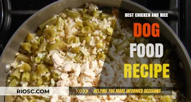 Delicious and Nutritious: The Ultimate Chicken and Rice Dog Food Recipe