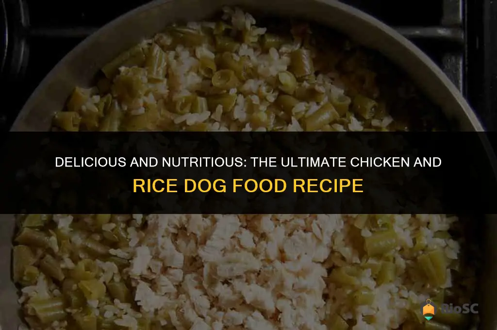 best chicken and rice dog food recipe