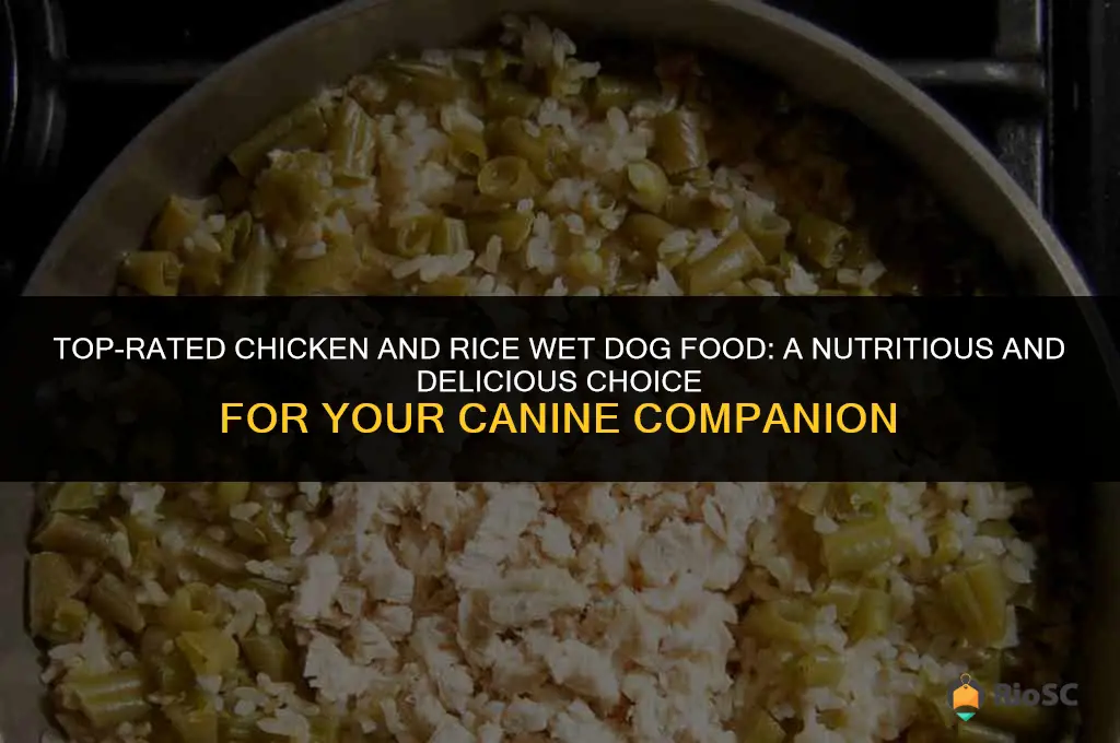 best chicken and rice wet dog food