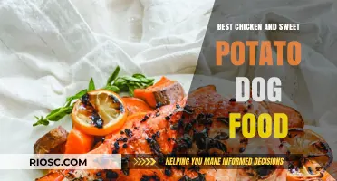 Top-Rated Chicken and Sweet Potato Dog Food: A Nutritious Choice for Your Furry Friend
