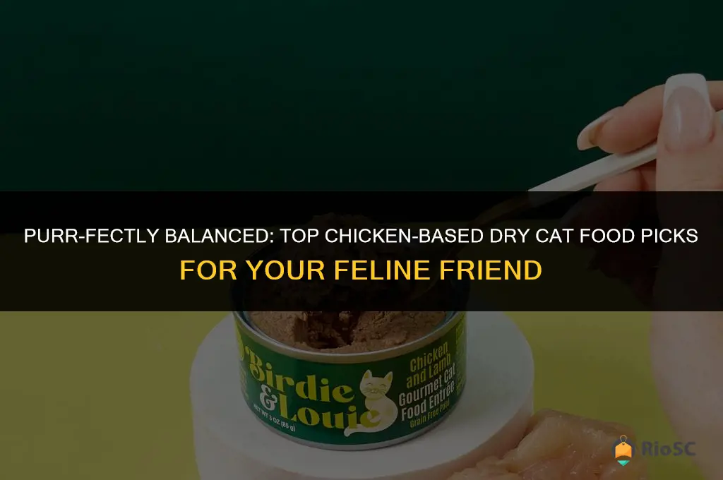 best chicken based dry cat food
