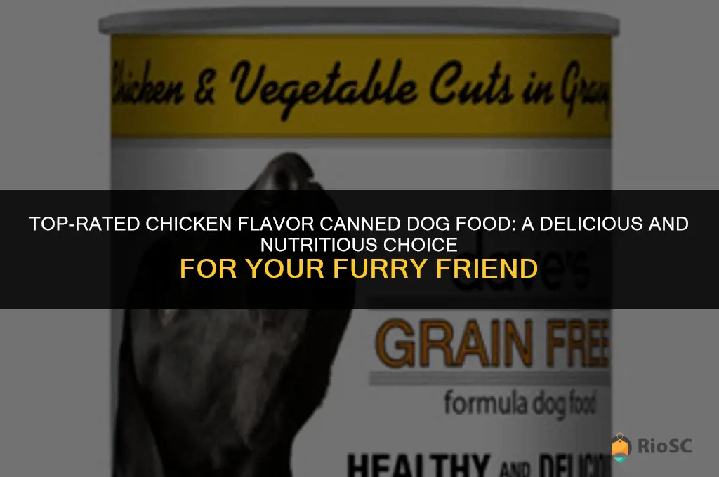 best chicken flavor canned dog food