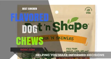 Top Chicken Flavored Dog Chews: Tasty and Healthy Treats Your Pup Will Love