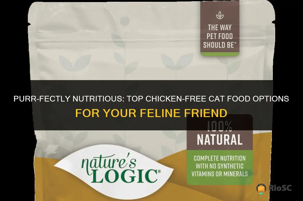best chicken free cat food