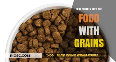 Wholesome Grains, No Chicken: Top Dog Food Options for Sensitive Stomachs