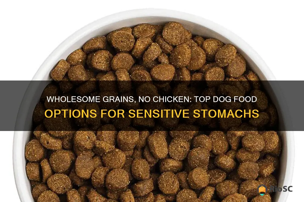 best chicken free dog food with grains