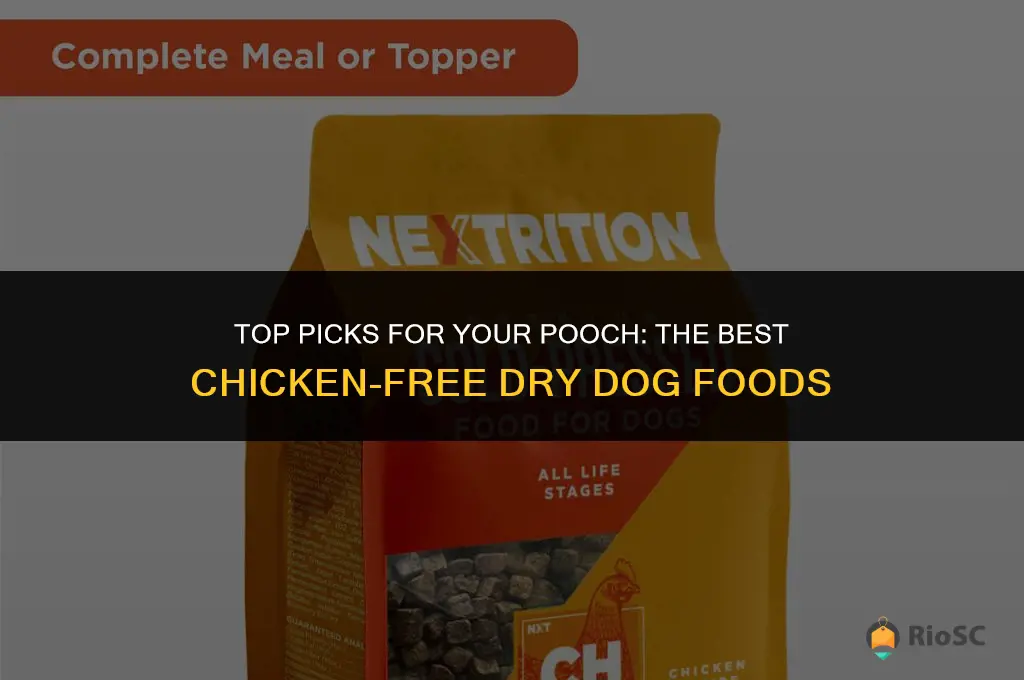 best chicken-free dry dog foods