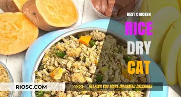 Purr-fectly Balanced: The Ultimate Guide to Chicken Rice Dry Cat Food