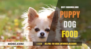 Nutrition for Your Furry Friend: Top Chihuahua Mix Puppy Dog Food Picks