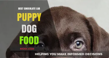 Nourishing Your Chocolate Lab Puppy: A Guide to the Best Dog Food for Optimal Growth and Health