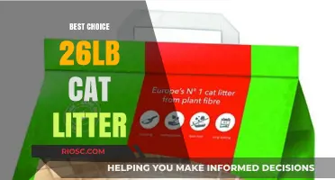 Top Pick: Best Choice 26lb Cat Litter for Odor Control and Long-Lasting Freshness