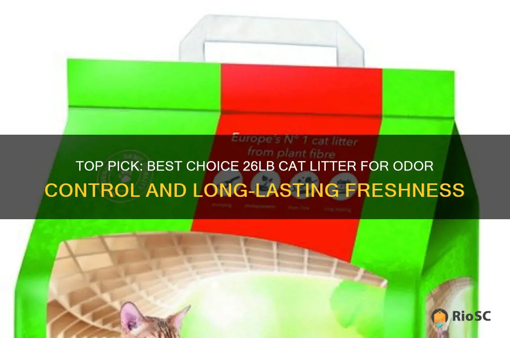 best choice 26lb cat litter