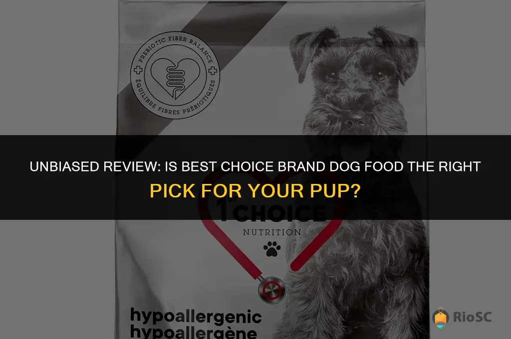 best choice brand dog food review