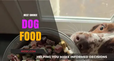 Top Picks for Your Pup: The Best Choice Dog Food for Optimal Health and Happiness