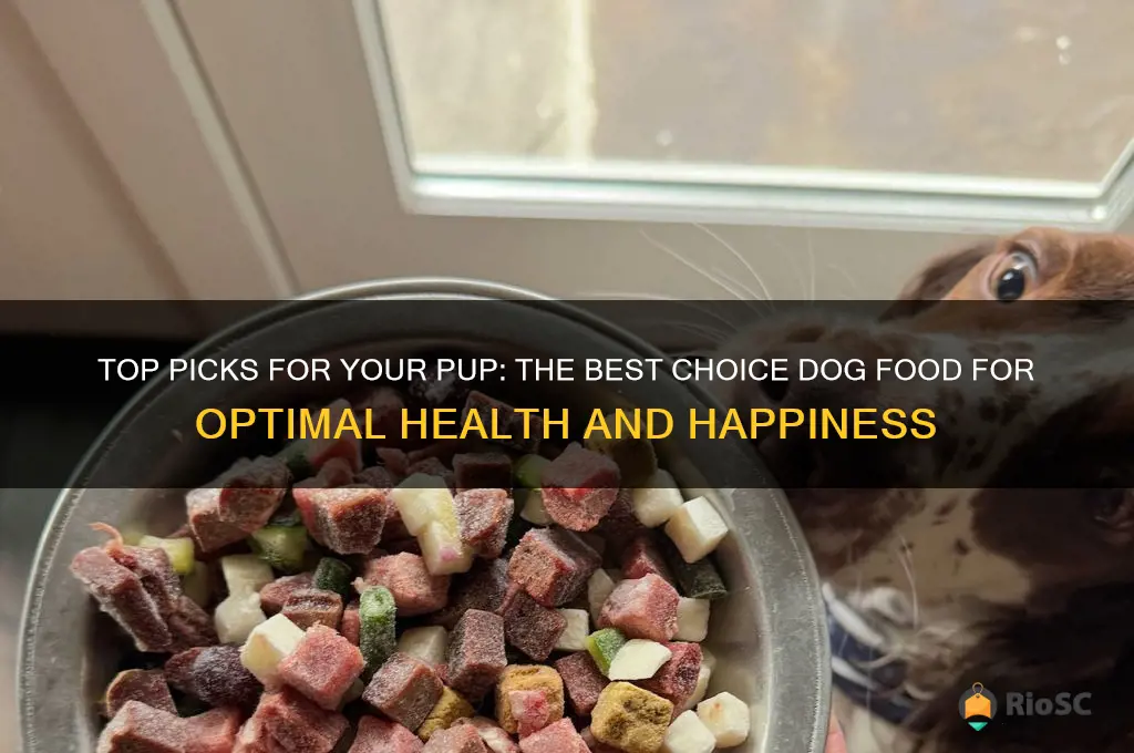 best choice dog food