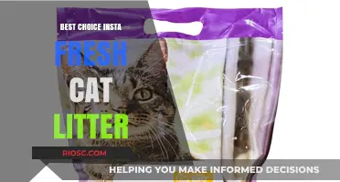 Insta Fresh Cat Litter Review: Is It the Best Choice for Your Feline Friend?