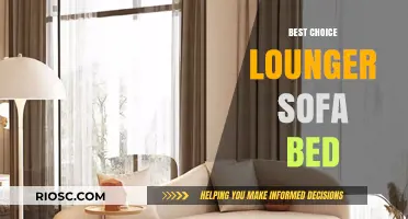 Ultimate Comfort and Style: Why the Best Choice Lounger Sofa Bed is a Must-Have for Modern Living Spaces