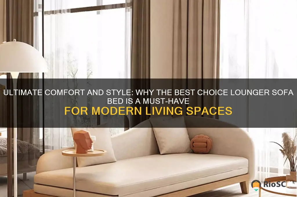 best choice lounger sofa bed