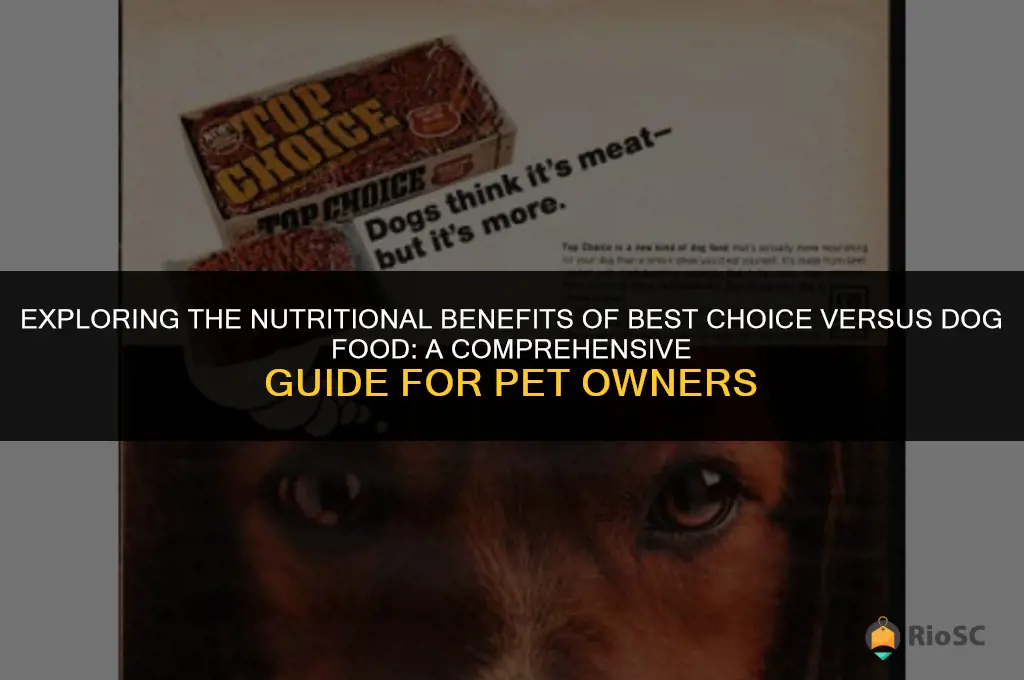 best choice verus dog food