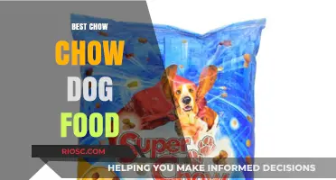Top Picks for Your Chow Chow: The Best Dog Food Options