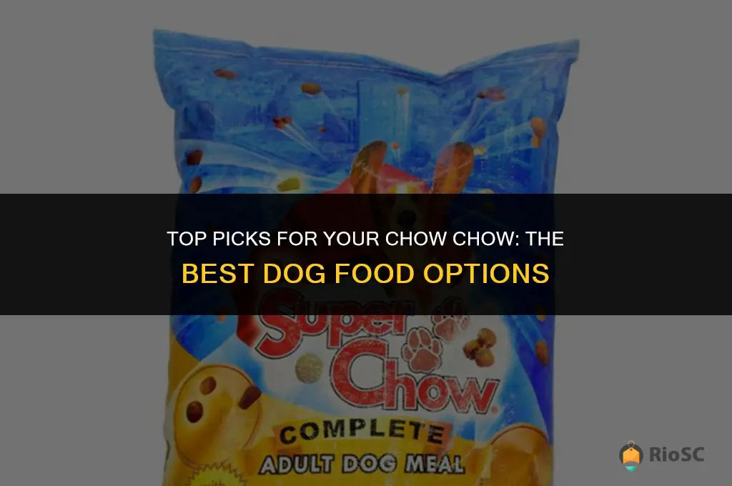 best chow chow dog food