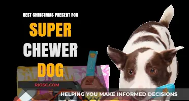 Tough Toys for Tenacious Tails: The Ultimate Christmas Gift Guide for Super Chewer Dogs