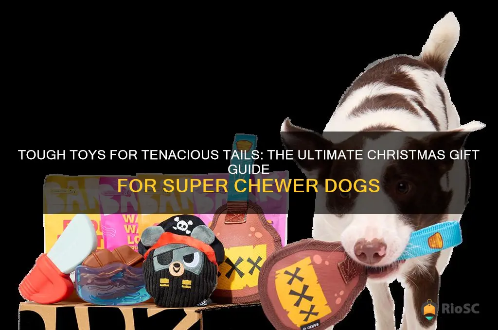 best christmas present for super chewer dog