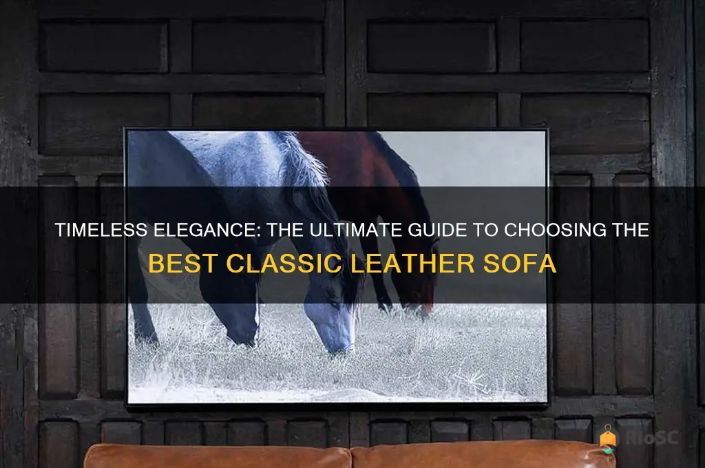 best classic leather sofa