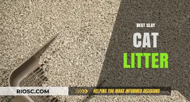 Top Picks for the Best Clay Cat Litter: Keeping Your Feline Friend Happy and Your Home Fresh