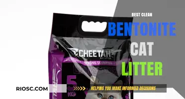 Top Picks for Clean and Odor-Free Homes: The Best Bentonite Cat Litter Options
