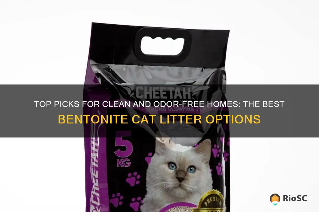 best clean bentonite cat litter