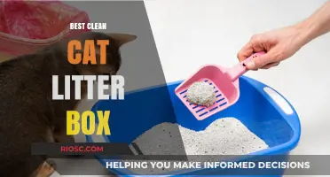 Top Picks for the Best Clean Cat Litter Box: Keep Your Home Fresh and Odor-Free