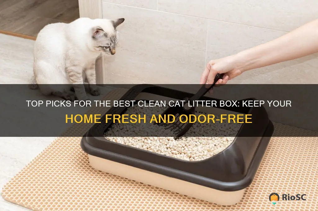best clean cat litter box