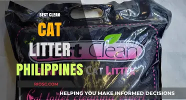 Top Clean Cat Litter Options in the Philippines: Eco-Friendly and Odor-Free Solutions for Your Feline Friend