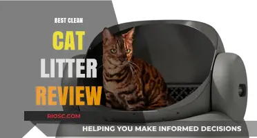 Top Clean Cat Litter Options: A Comprehensive Review for Pet Owners