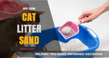 Top Picks for Clean Cat Litter Sand: Eco-Friendly, Odor-Free, and Paw-Approved Options