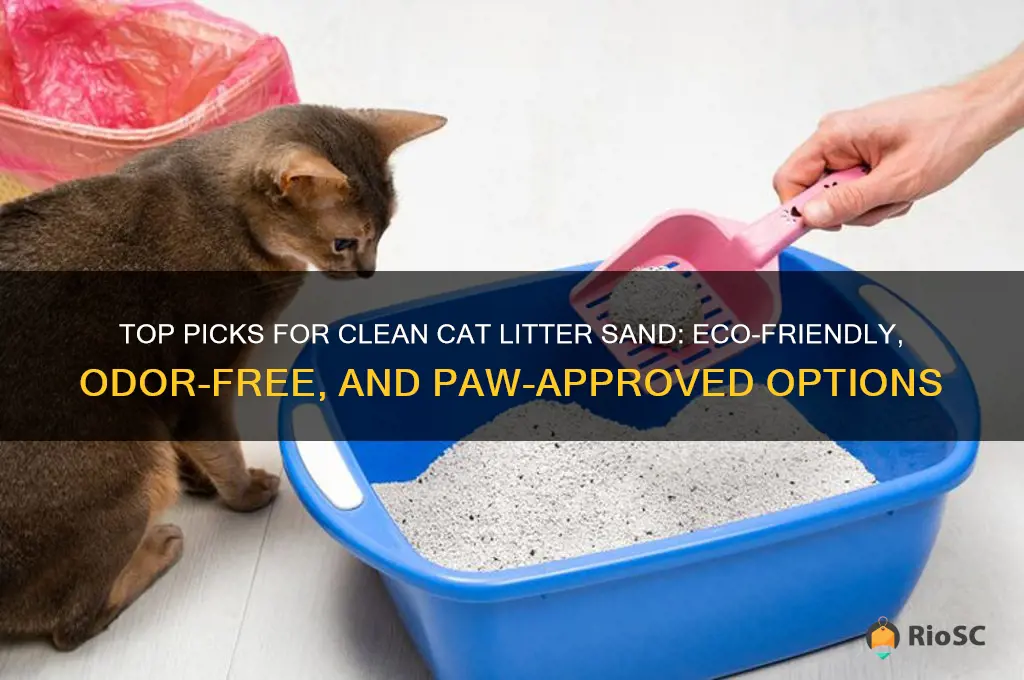 best clean cat litter sand